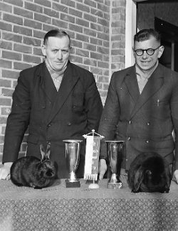 Raskweek konijnen Noorderkempen1962 Leo Hanssen B